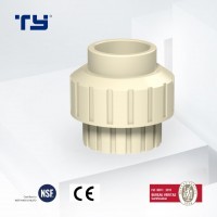 Piping Systems CPVC Pressure Pipe Tube Fittings Union SDR11 Cts (ASTM 2846)  Dosen Tianyan OEM