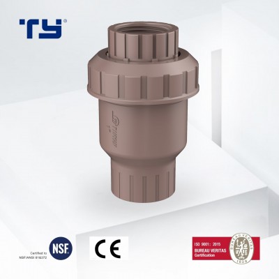 Plastic (PVC/CPVC) Socket and Thread Check Valve Pn10 /Pn16/ASTM Standard